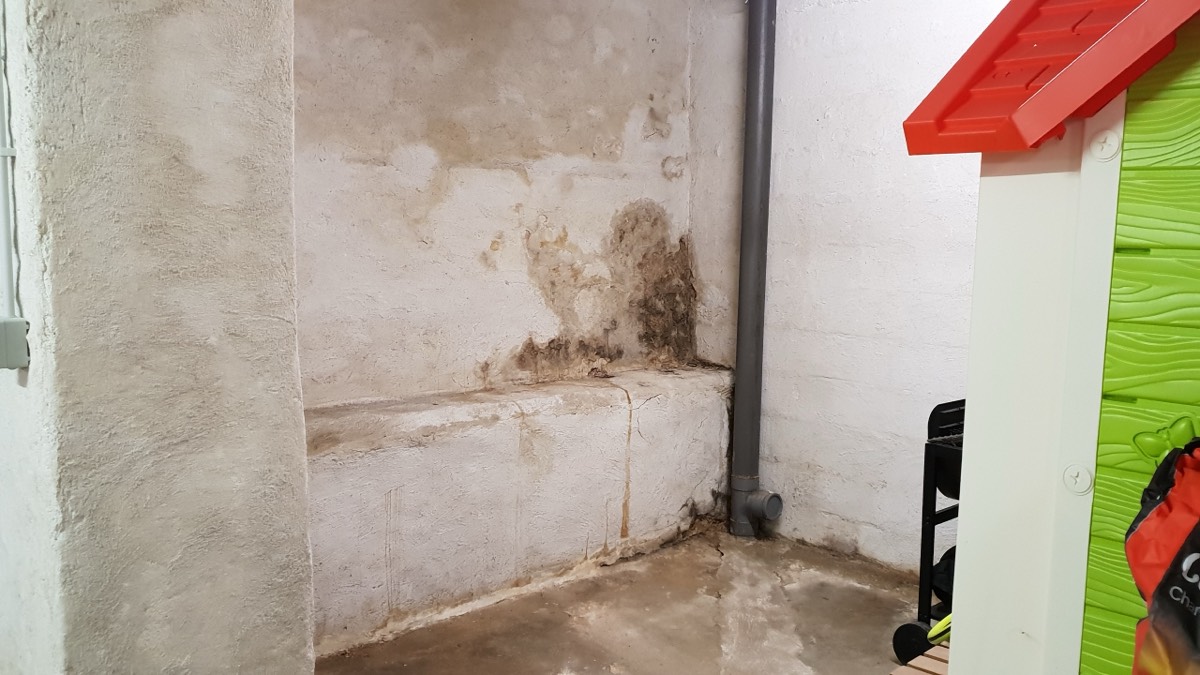 Infiltrations d'eau - Expertise humidité à Lille